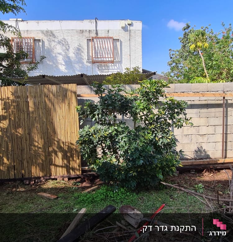 גדר עץ במבוק ליד קיר בטון בגינה